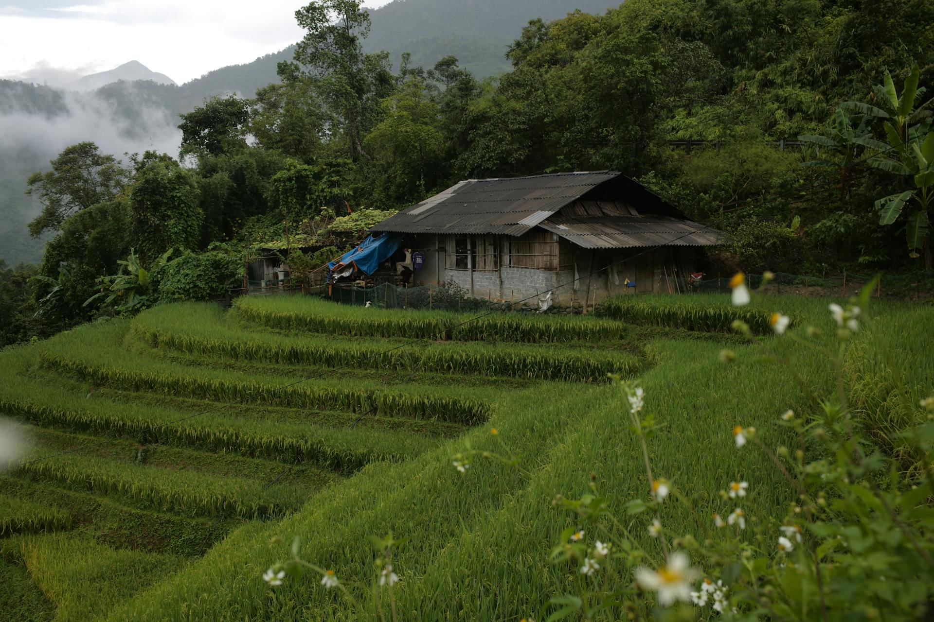 Capture the stunning beauty of Sapa’s cultural gem